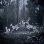 Conjunto Natalino de 5 Renas Iluminadas com LED - Miniatura 2